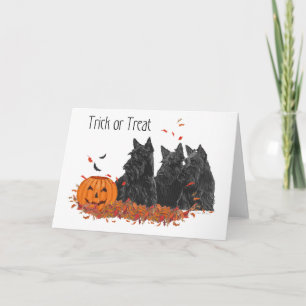 Schottische Terrier Halloween Karte