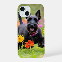 Schottische Terrier in Gras und Blume