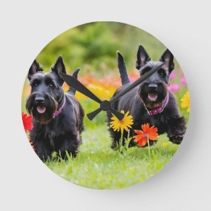 Schottische Terrier in Gras und Blume Runde Wanduhr
