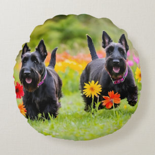 Schottische Terrier in Gras und Blume Rundes Kissen