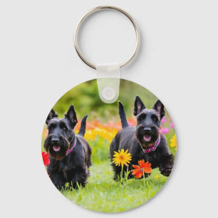 Schottische Terrier in Gras und Blume Schlüsselanhänger