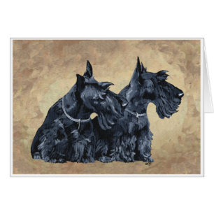 Schottische Terrier mit Disteln