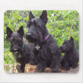 Schottische Terrier Mousepad (Vorne)