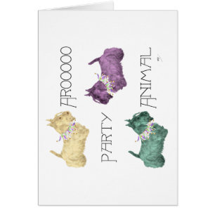 Schottische Terrier Partytiere