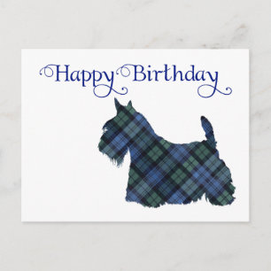 Schottische Terrier-Tartan-Silhouette Postkarte