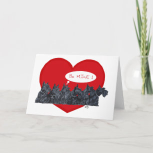 Schottische Terrier Valentinstag Feiertagskarte