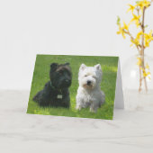 Schottische und westliche Highland Terriers Greenw Karte (Gelbe Blume)
