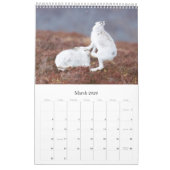 Schottische wild lebende Tiere, wild und frei Kalender (Mär 2026)