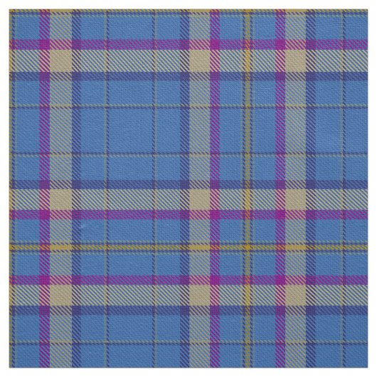 Schottischer Clan Ciam von Ely Tartan Kariert Stoff (Muster)