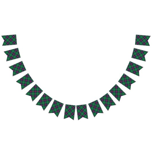 Schottischer Clan-JungeTartan Wimpelkette (Alle)