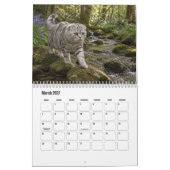Schottischer Fold-Katze-Kalender Kalender (Mär 2027)