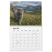 Schottischer Fold-Katze-Kalender Kalender (Jan 2027)