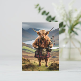 Schottischer Highland-Kuh-Bagpiper,  Postkarte