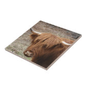 Schottischer Hochländer Fliese (Seite)