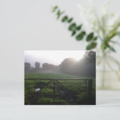 Schottischer Morgentau Postkarte (Stehend Vorderseite)