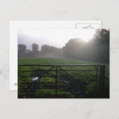 Schottischer Morgentau Postkarte (Vorne/Hinten)