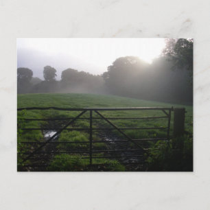 Schottischer Morgentau Postkarte