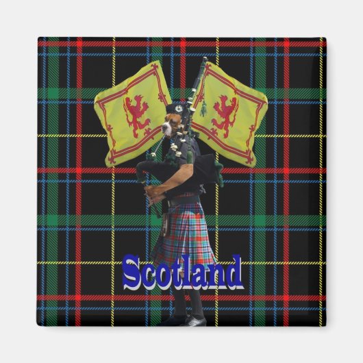 Schottischer Piper auf Tartan Magnet (Vorne)