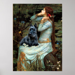 Schottischer Terrier 2 - Ophelia sitzend Poster