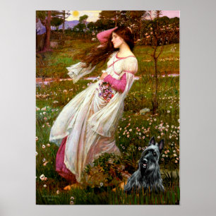 Schottischer Terrier 3 - Windflowers Poster