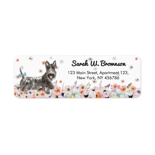 Schottischer Terrier Abeerdenie Hund (Vorne)