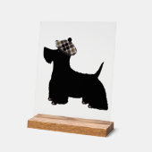 Schottischer Terrier Acrylschild (Winkel)