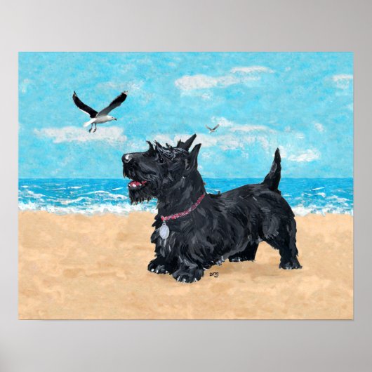 Schottischer Terrier am Strand Poster (Vorne)