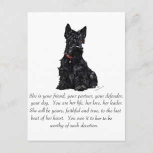 Schottischer Terrier-Anhänger - WEIBLICH Postkarte