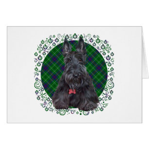 Schottischer Terrier auf Tartan
