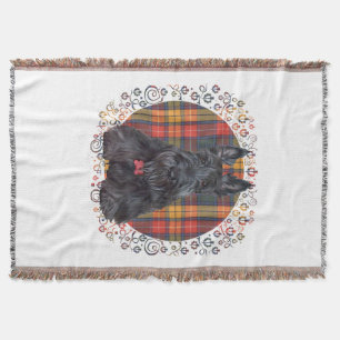 Schottischer Terrier auf Tartan Decke