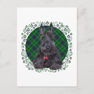 Schottischer Terrier auf Tartan Postkarte