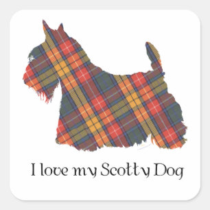 Schottischer Terrier Buchanan Tartan Quadratischer Aufkleber