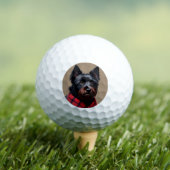 Schottischer Terrier Golfball (Insitu T-Shirt)