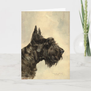 Schottischer Terrier Grußkarte Karte