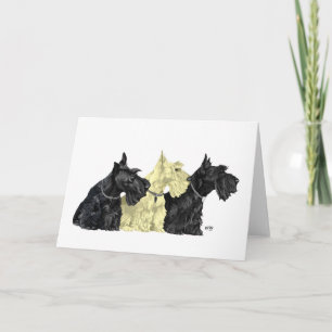 Schottischer Terrier Grußkarte Karte