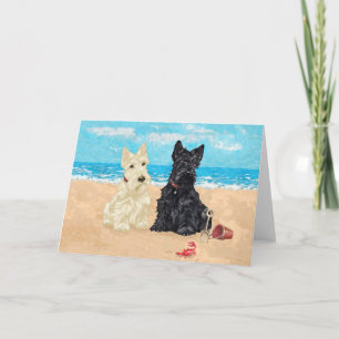 Schottischer Terrier Grußkarte Karte