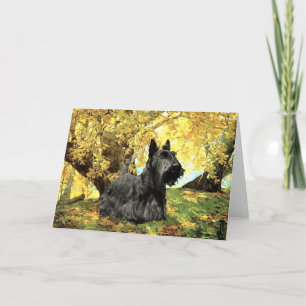 Schottischer Terrier-Grußkarte Karte