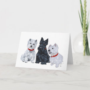 Schottischer Terrier Grußkarte Karte