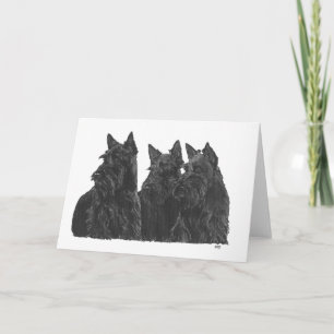 Schottischer Terrier-Grußkarte Karte