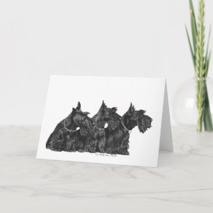 Schottischer Terrier Grußkarte Karte