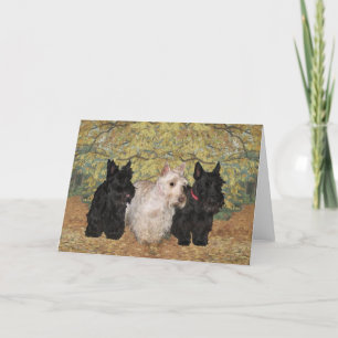 Schottischer Terrier-Grußkarte Karte