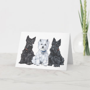 Schottischer Terrier-Grußkarte Karte
