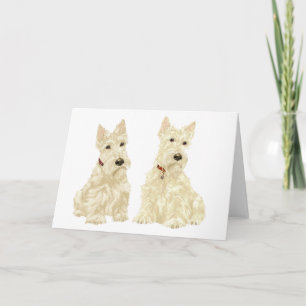 Schottischer Terrier-Grußkarte Karte