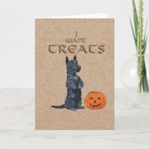 Schottischer Terrier Halloween-Grußkarte Karte