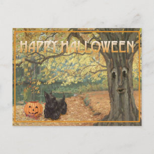 Schottischer Terrier Halloween Postkarte