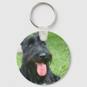 Schottischer Terrier-HundeSchlüsselanhänger Schlüsselanhänger