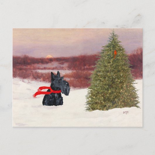 Schottischer Terrier im Winter Postkarte (Vorderseite)