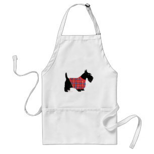 Schottischer Terrier in einem Pullover Schürze