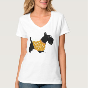 Schottischer Terrier in goldenem Pullover auf