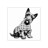 Schottischer Terrier in karierter Jacke - Stempel (Prägung)